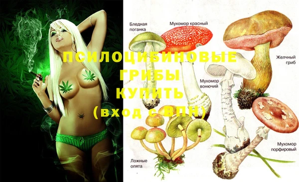 мдпв Балабаново